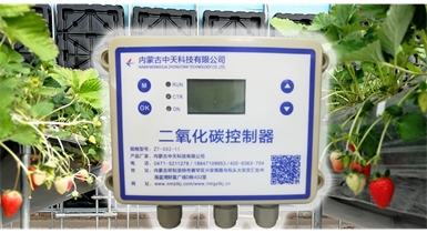 中國北方CO?新技術(shù)，將促進農(nóng)作物光合作用和光合產(chǎn)物的生成